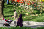 vahid sohrabi0025.jpg